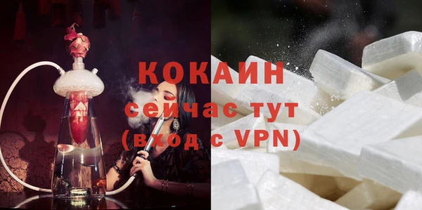соль ск Алзамай