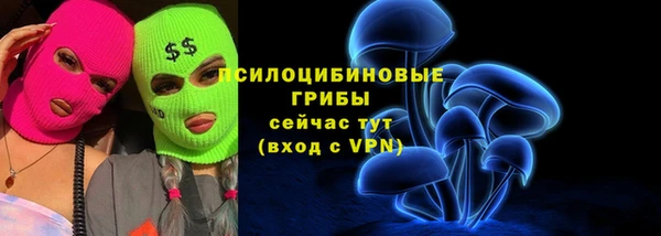соль ск Алзамай