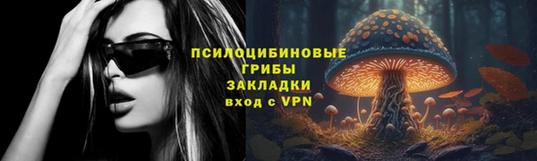 соль ск Алзамай