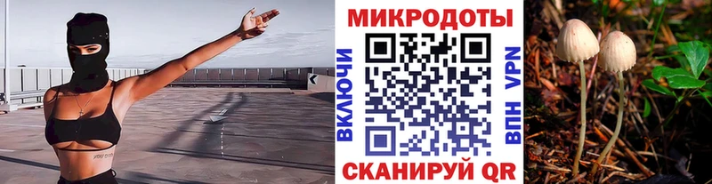 Галлюциногенные грибы Psilocybine cubensis  Злынка 