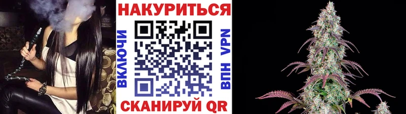купить  цена  Злынка  Марихуана семена 